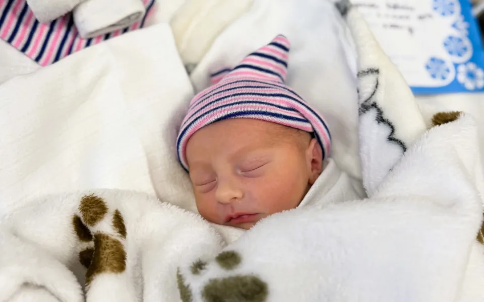 2[28]