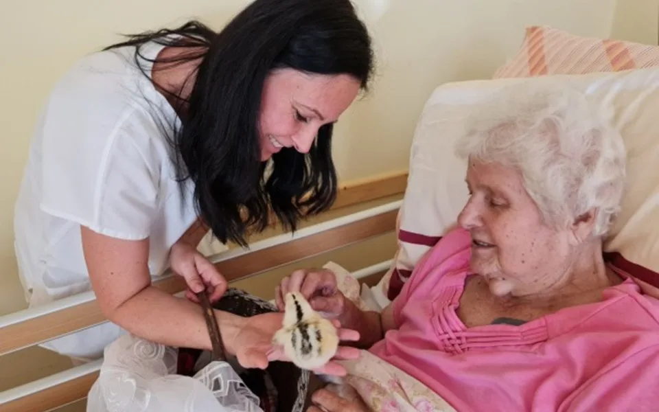 Věnovala se nemocným seniorům, teď sama potřebuje pomoc. Eva bojuje s agresivním nádorem na mozku