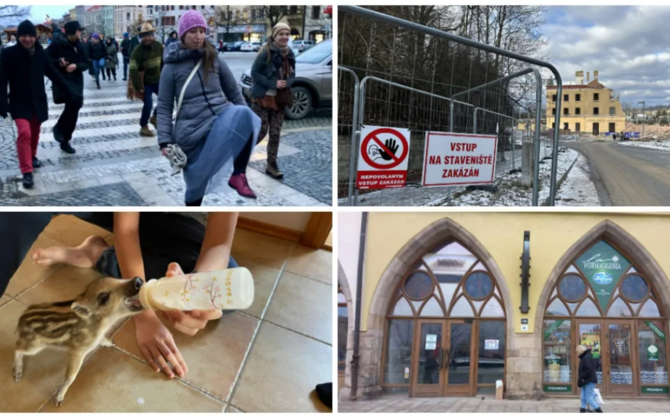 LEDEN NA DRBNĚ: Švihlá chůze v Jihlavě, demolice na nádraží, prasátko Boženka, Radniční znovu ožije