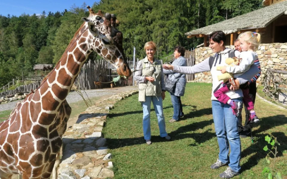 Ilustrační foto. Foto: Se svolením Zoologické zahrady Jihlava