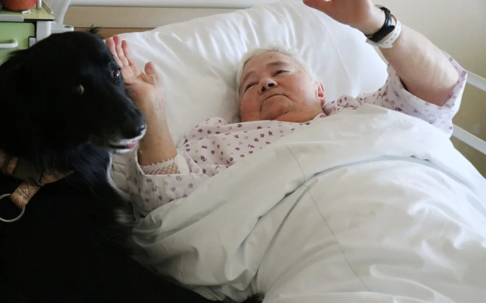 Za pacienty do novoměstské nemocnice chodí čtyřnohý lékař lidských duší. Foto: Se svolením Nemocnice Nové Město na Moravě