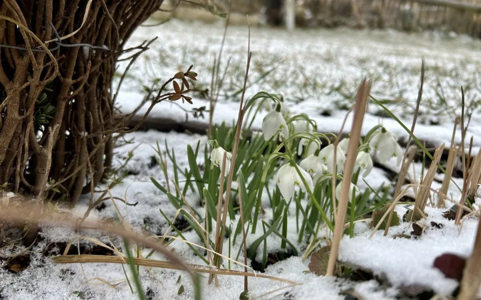 Meteorologové: Po chladném začátku týdne se začne oteplovat, o víkendu naměříme až 18 stupňů