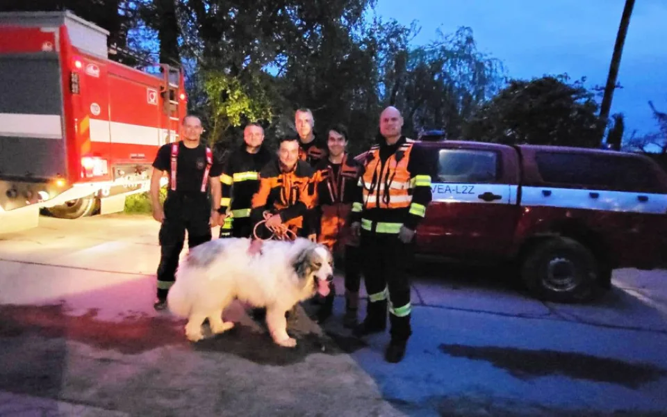 Hasiči na Žďársku vytáhli psa z kamenolomu. Chlapi, děkuji mnohokrát, říká majitelka