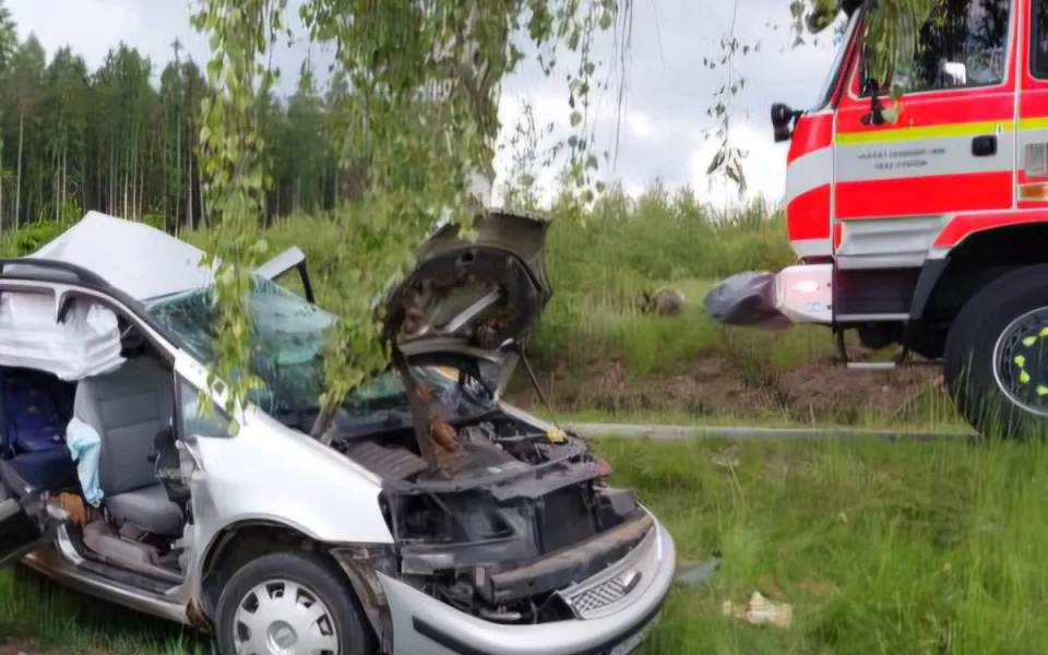 Úmrtí na Jihlavsku. Řidička nepřežila náraz do stromu, spolujezdec utrpěl zranění