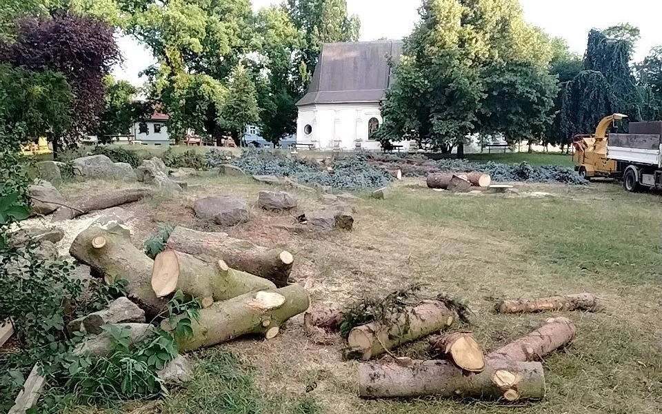 Ze Smetanových sadů zmizely jehličnany, Jihlavany rozsah kácení šokoval
