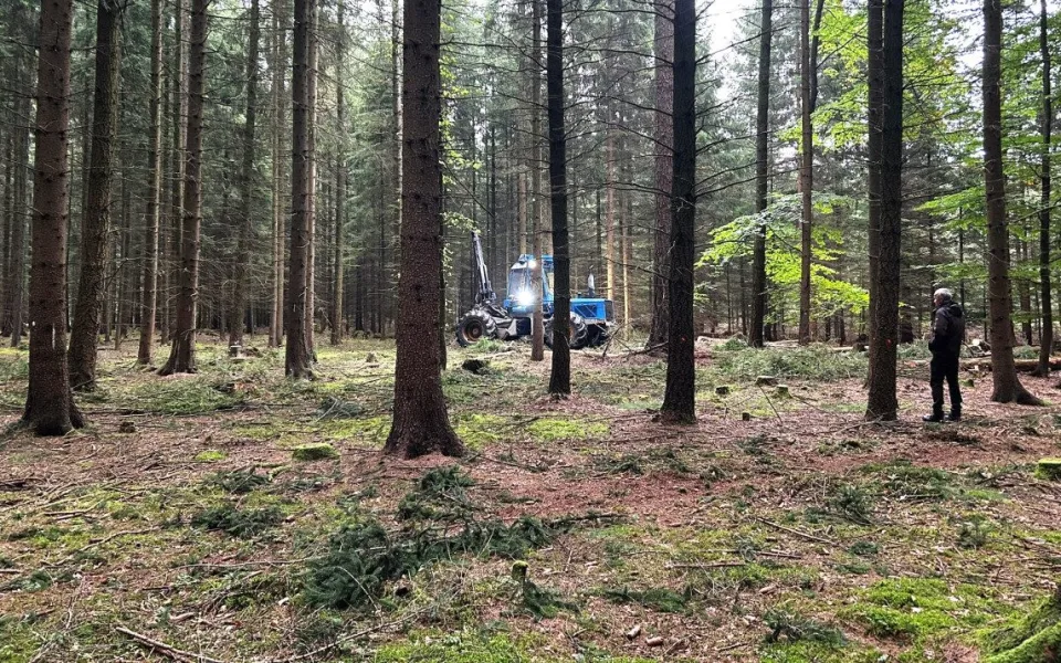 Takto pracuje harvestor na Jihlavsku. Jeden strom zpracuje asi za minutu