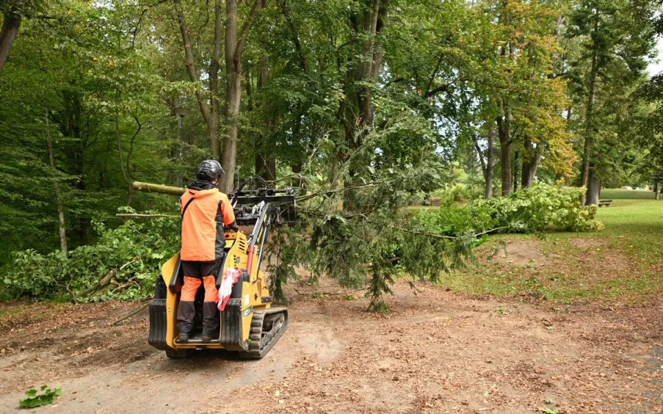 Havlíčkův Brod pokračuje s revitalizací parku Budoucnost, stromy musely jít k zemi. Foto: Se svolením města Havlíčkův Brod