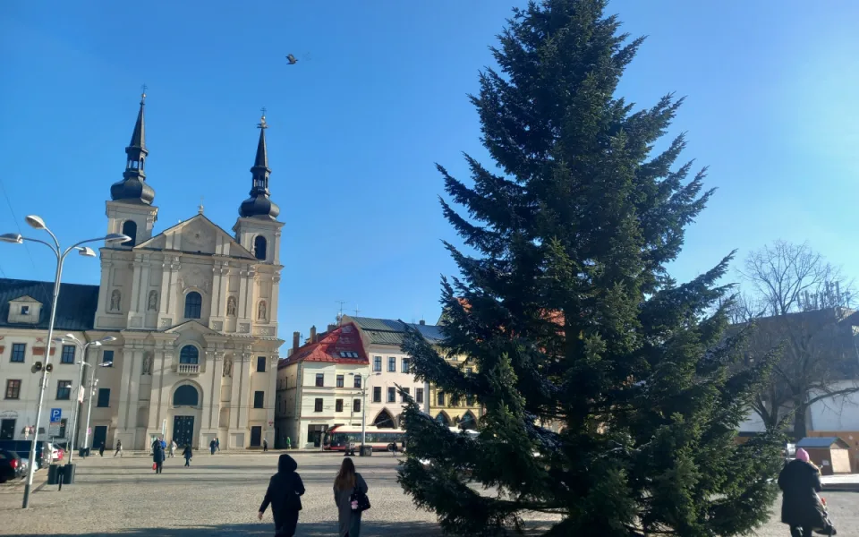 FOTO: Na náměstí v Jihlavě je vánoční strom, svítící ježci na lampách zatím chybí