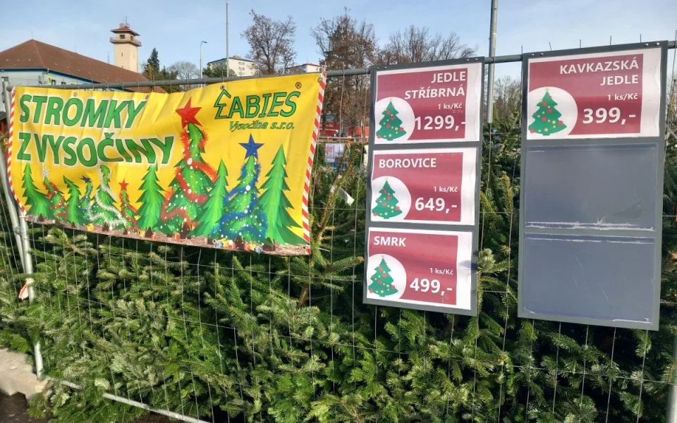 Vánoční stromek se dá v Jihlavě koupit za pár stovek, lidé do lesa s pilkou nechodí