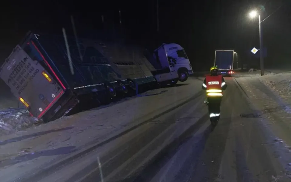 U Jívoví havaroval kamion převážející krávy. Čtyři z nich zřejmě nepřežijí. Foto: Se svolením Policie ČR