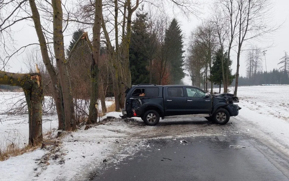 Řidič u Sedlejova se zřejmě snažil vyhnout zvěři v cestě a rozbil auto o stromy. Foto: Se svolením Policie ČR