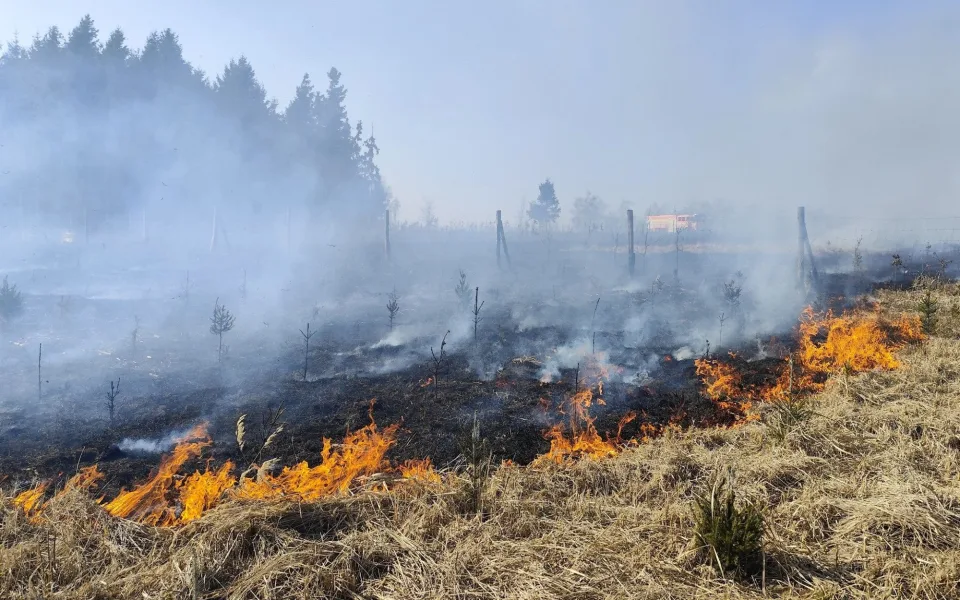 Rozsáhlý požár lesa u Věžničky. Foto: Poskytl JSDH Jihlava