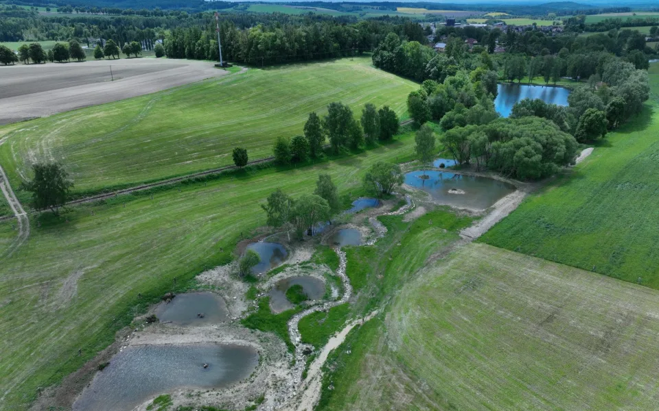 Revitalizace mokřadu Černovice u Tábora. Foto: ADAPTO.space