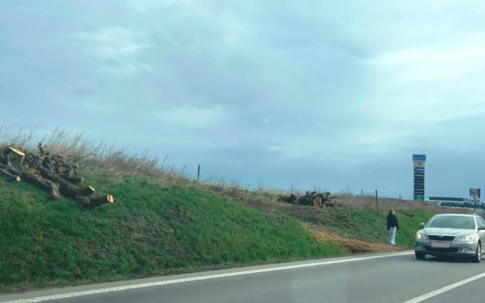 FOTO: Poblíž jihlavského Aventinu zmizely stromy. Vznikne tam nová křižovatka