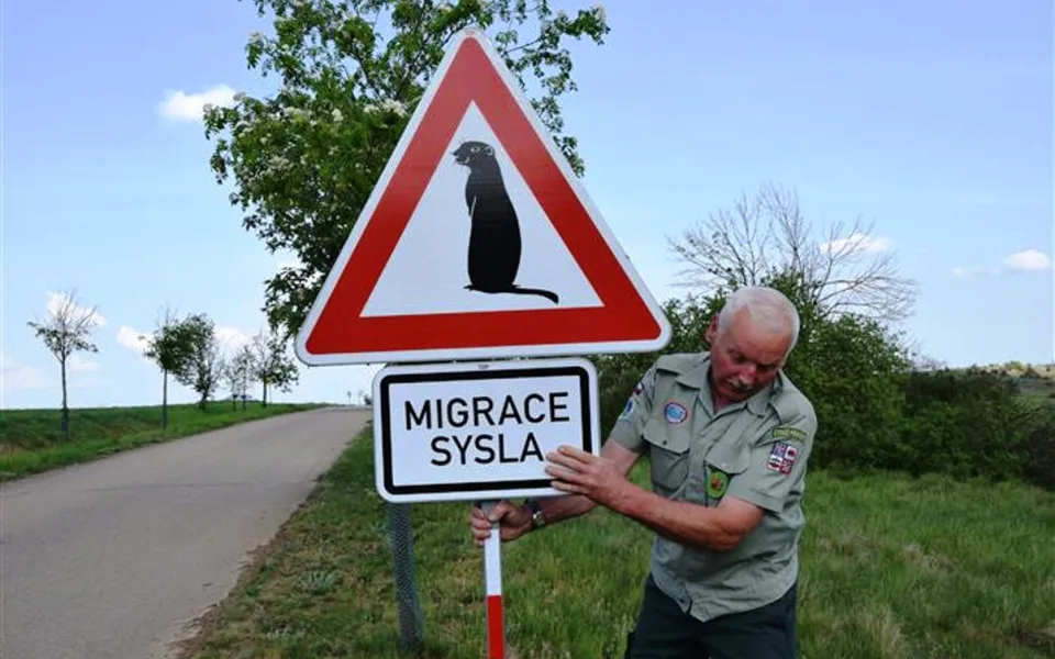 Ilustrační foto