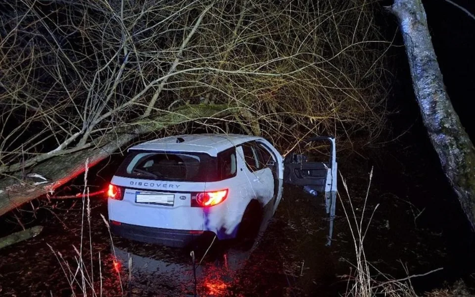 Mladá řidička sjela s Land Roverem do rybníka. Prý se vyhýbala zvěři. Foto: Policie ČR