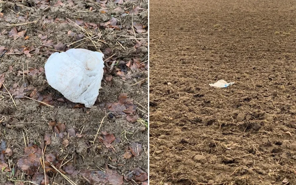 Kdo vyhazuje použité pleny u Hlávkova na Jihlavsku? Místní prosí o pomoc. Foto: Jana Ottová