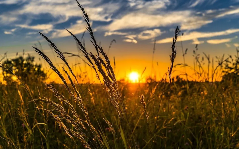 Ilustrační foto. Foto: pixabay.com