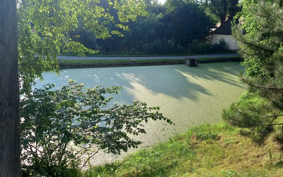 FOTO: Zelený rybník v Bradle bude minulostí, nahradí ho odpočinkové místo s lavičkami
