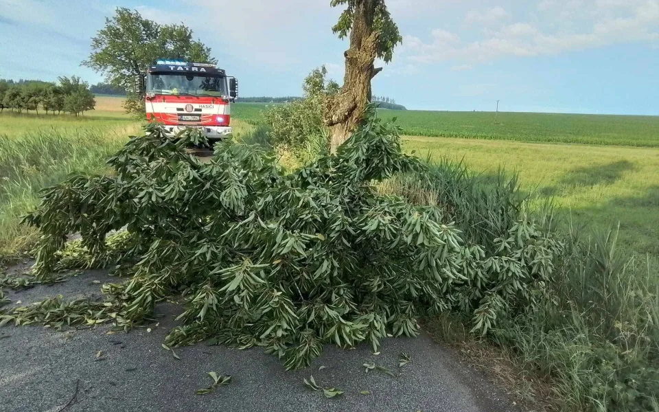 Vysočinu zasáhly další bouřky, padaly stromy. Domácnosti byly bez elektřiny