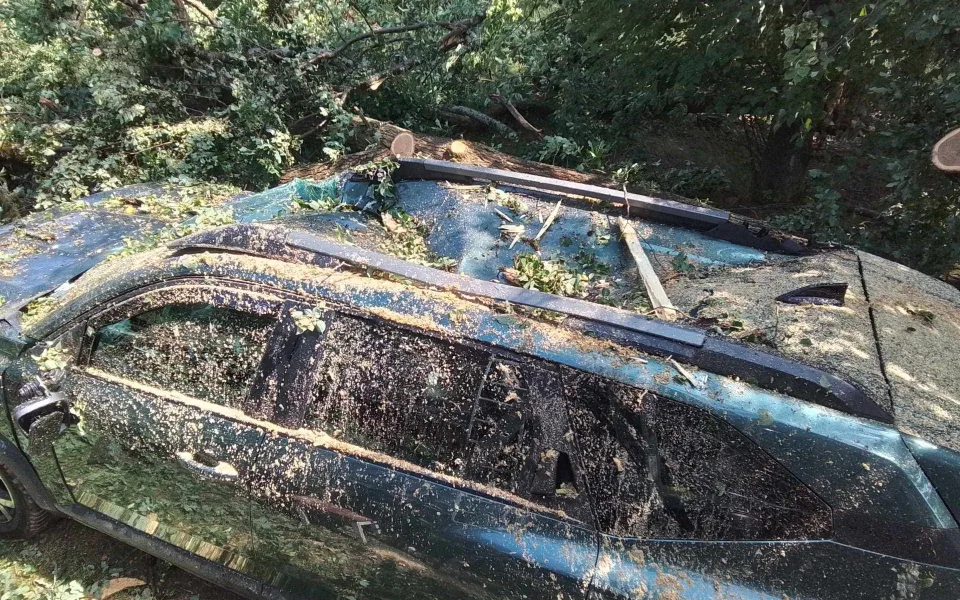 Další den, další bouřky. V Jihlavě spadl strom na auto, od poledne se hasiči nezastaví