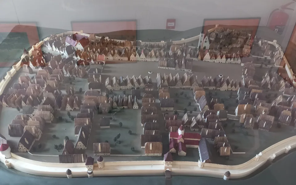 KOČIČÍ JIHLAVSKÁ HISTORIE VII.: Kočky nezabránily zradě a Švédi obsadili Jihlavu